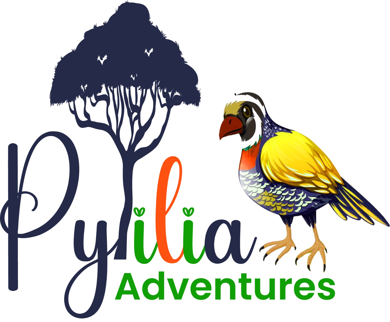 Pytilia Adventure Safaris Limited logo