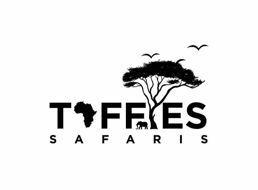 Taffies Safaris logo