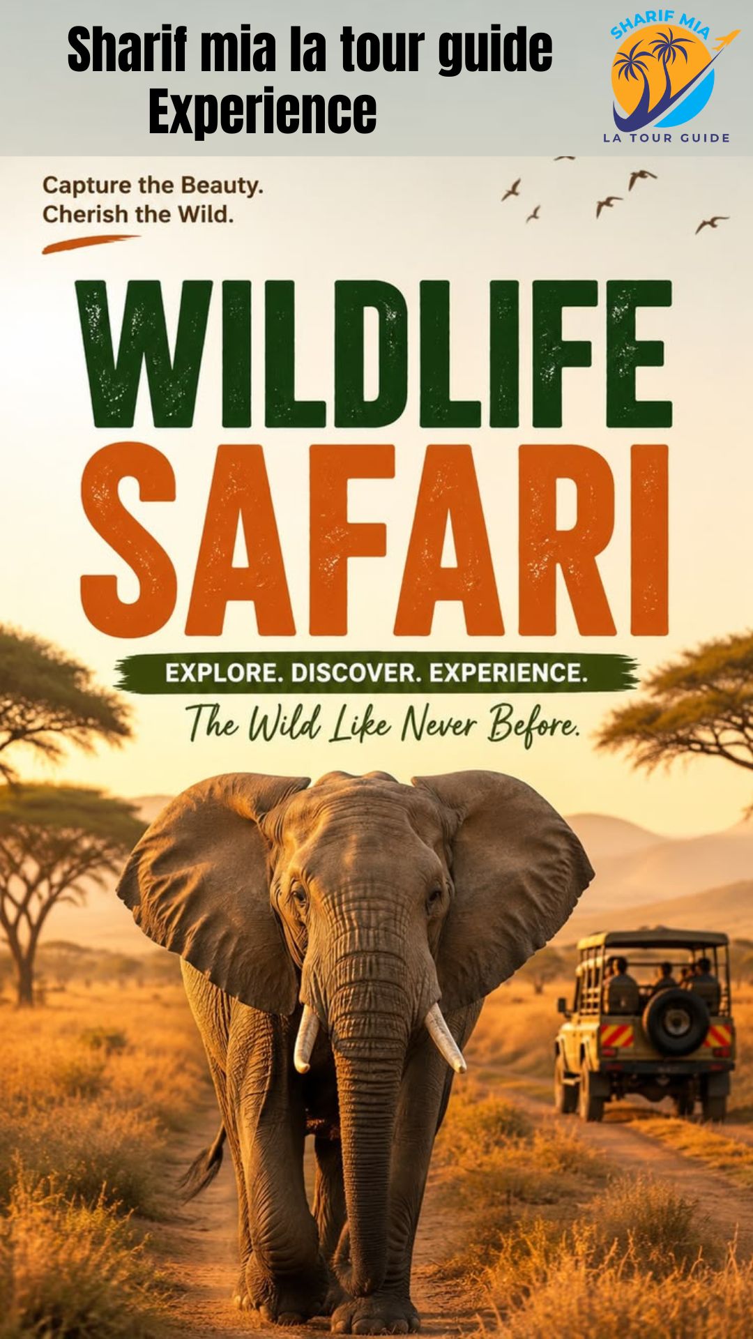 Apex Safaris logo